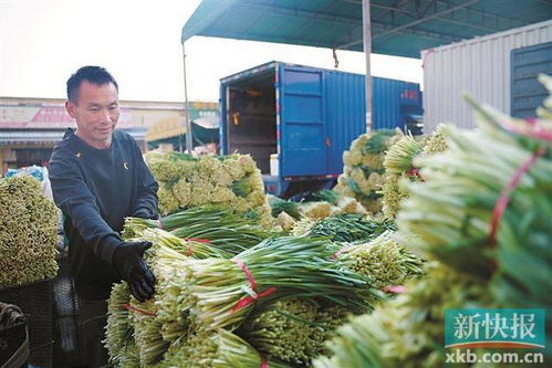 佛山南海建成消費(fèi)幫扶黔貨入粵集散地 助推食品經(jīng)營(yíng)升級(jí)